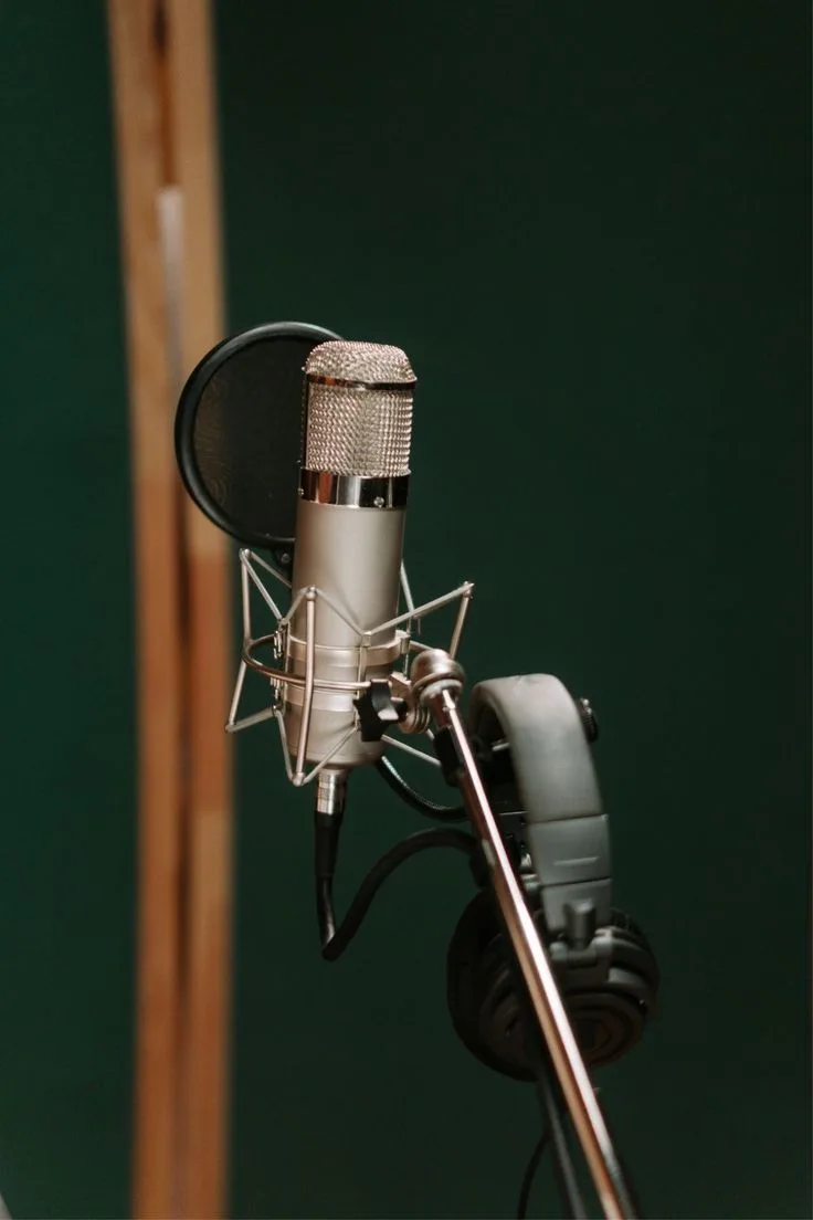 A studio microphone ready for recording